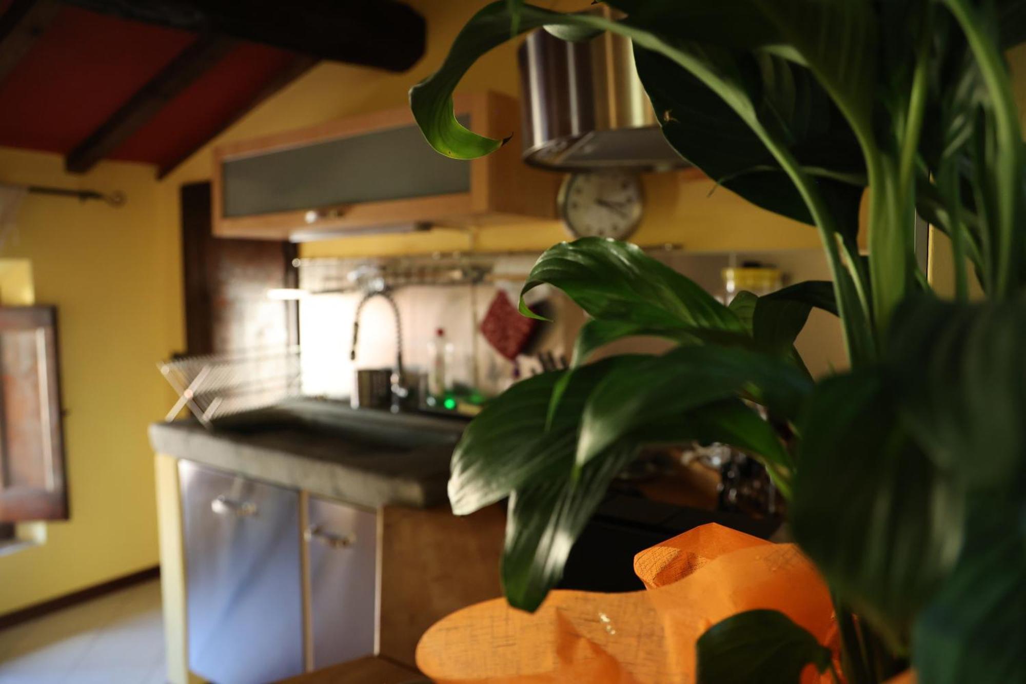 Apartament Mansarda Pescia Zewnętrze zdjęcie